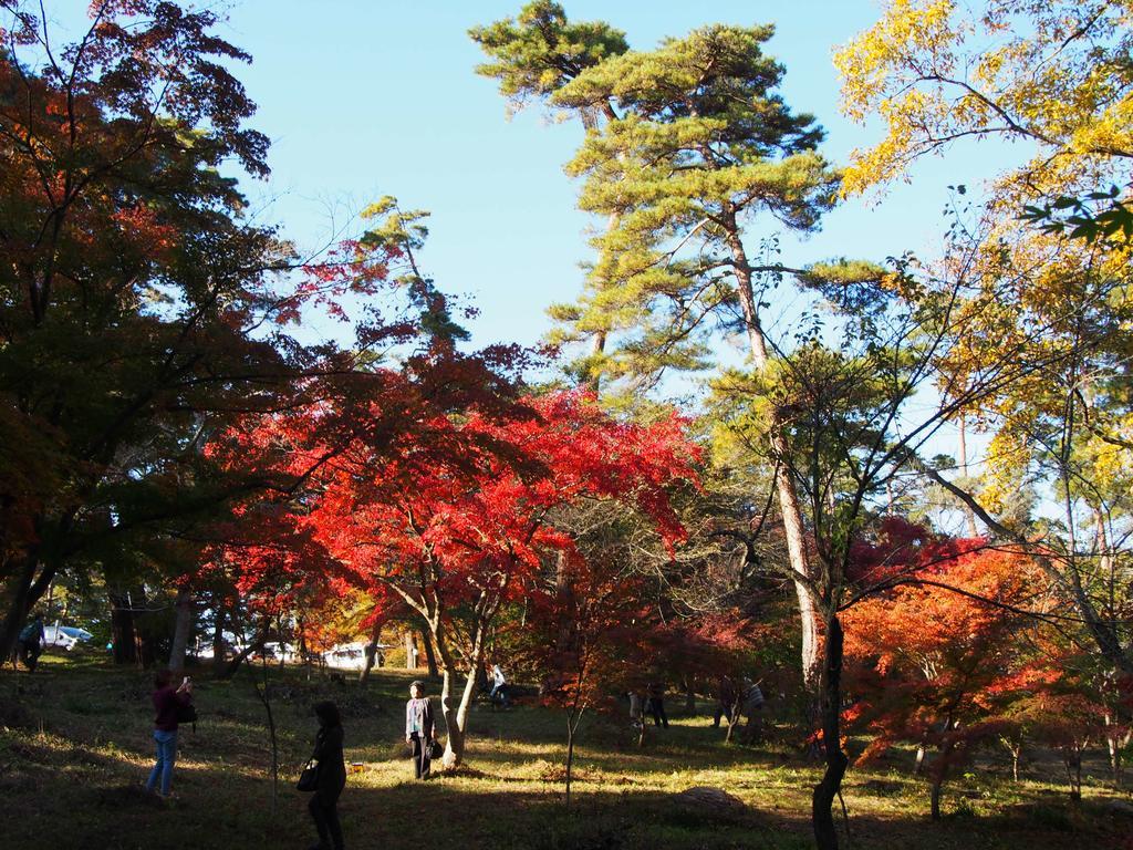 Inn Yokotei Nagatoro  Екстер'єр фото